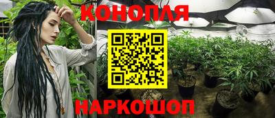 хмурый Жуковский