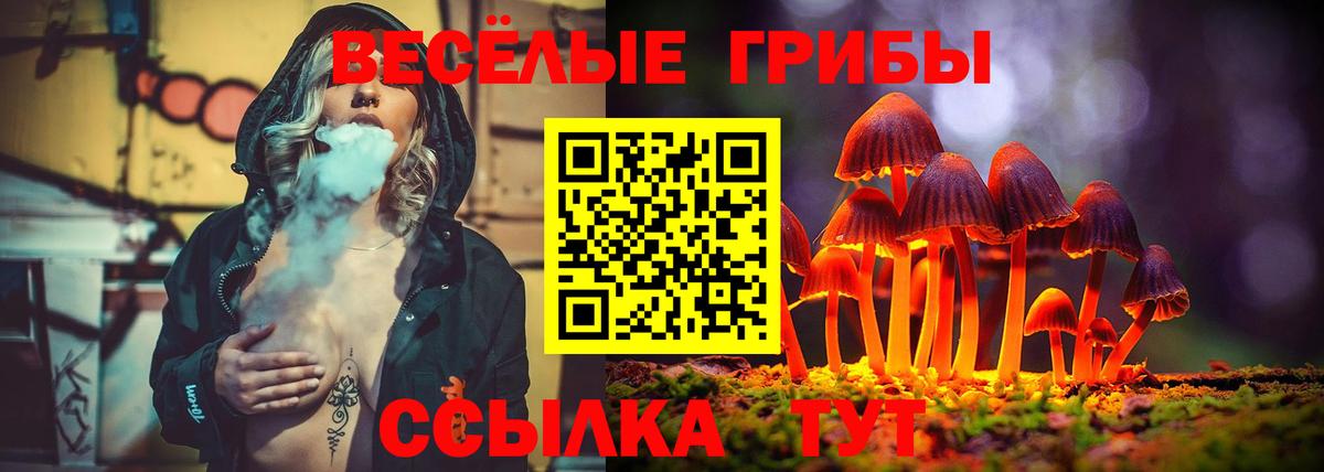 Галлюциногенные грибы Magic Shrooms  наркотики  Вход с VPN  Миасс  Галлюциногенные грибы мухоморы 